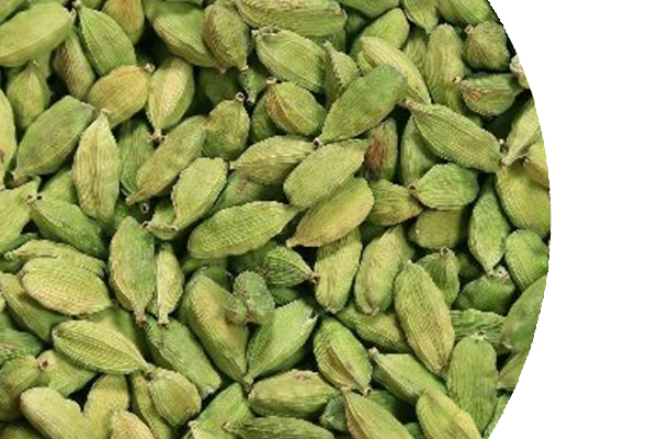 green cardamom rounded